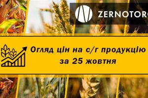 В Україні дешевшає кукурудза — огляд за 25 жовтня від Zernotorg.ua