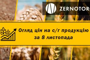 В Україні дорожчає пшениця — огляд за 8 листопада від Zernotorg.ua