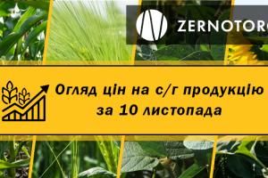 Ціна кукурудзи продовжує падати — огляд за 10 листопада від Zernotorg.ua