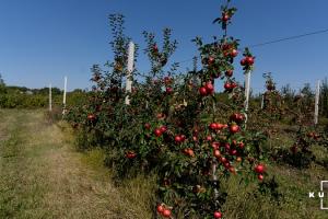 Українських садівників закликали кооперуватись