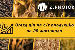 Ціна пшениці продовжує триматись на рекордних позначках — огляд за 29 листопада від Zernotorg.ua