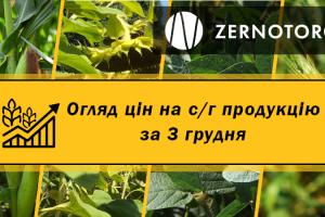 Ціни на зернові та олійні — огляд за 3 грудня від Zernotorg.ua