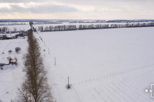 Сніг в полі