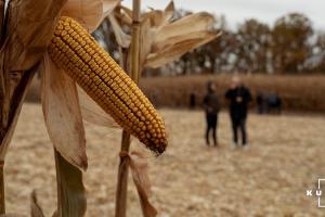 На Одещині фермери вирішували земельний конфлікт за допомогою зброї