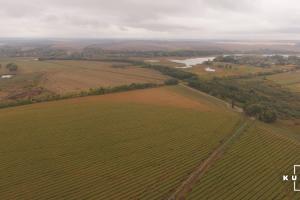 Оприлюднено статистику щодо купівлі-продажу земельних паїв