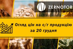 В Україні дешевшають зернові  — огляд за 20 грудня від Zernotorg.ua