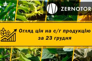 Ціни на с/г продукцію — огляд за 23 грудня від Zernotorg.ua