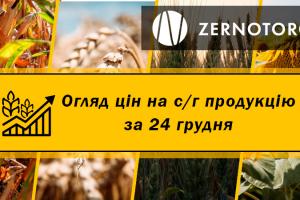 В портах подорожчала кукурудза  — огляд за 24 грудня від Zernotorg.ua