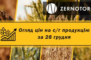 Ціни на зернові та олійні — огляд за 28 грудня від Zernotorg.ua