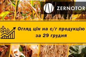 Ціни на кукурудзу знизились — огляд за 29 грудня від Zernotorg.ua