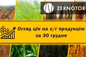 В портах Одещини подешевшали зернові — огляд за 30 грудня від Zernotorg.ua