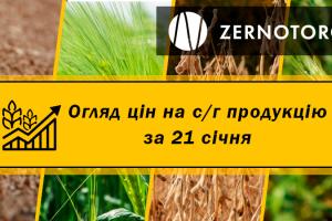 Вартість ячменю зростає — огляд за 21 січня від Zernotorg.ua