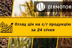 В Україні подорожчали зернові — огляд за 24 січня від Zernotorg.ua