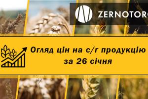 Зернові дорожчають — огляд за 26 січня від Zernotorg.ua