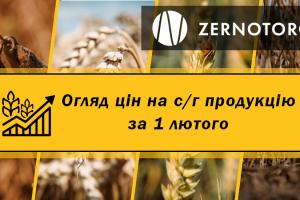 Ціни на зернові та олійні — огляд за 1 лютого від Zernotorg.ua