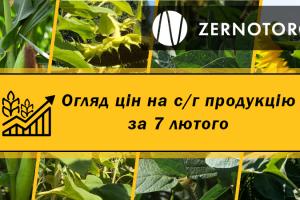 Ціни на с/г продукцію — огляд за 7 лютого від Zernotorg.ua