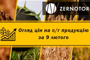 Соняшник та ріпак подешевшав — огляд цін за 9 лютого від Zernotorg.ua