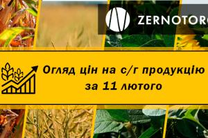 Ціни на зернові та олійні — огляд за 11 лютого від Zernotorg.ua