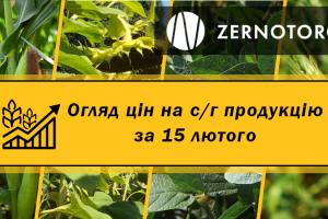 Ціни на зернові та олійні — огляд за 15 лютого від Zernotorg.ua