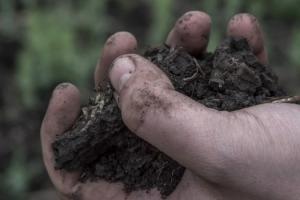 Оприлюднено порядок державної реєстрації земельних договорів під час війни