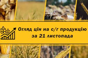 Попри продовження зернового коридору активність на українському зерновому ринку обмежена