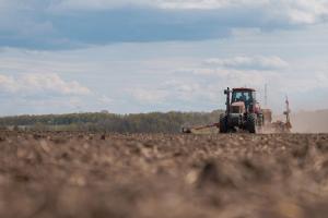 В Україні стартувала посівна ячменю