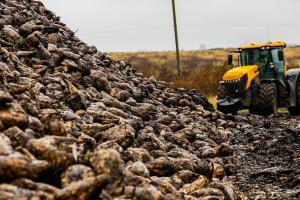 Експорт цукру заборонено до 15 вересня