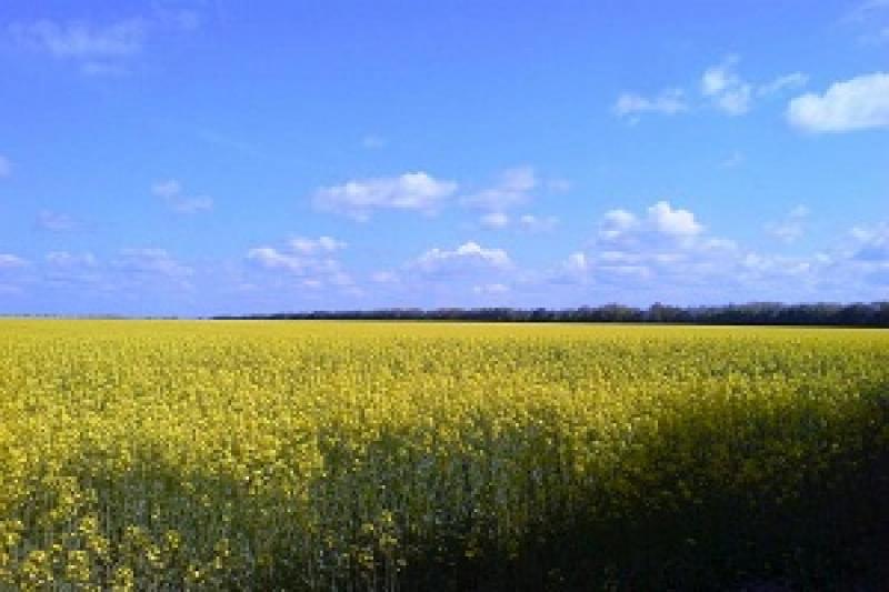 Інтерактивна земельна карта запрацювала для учасників АТО