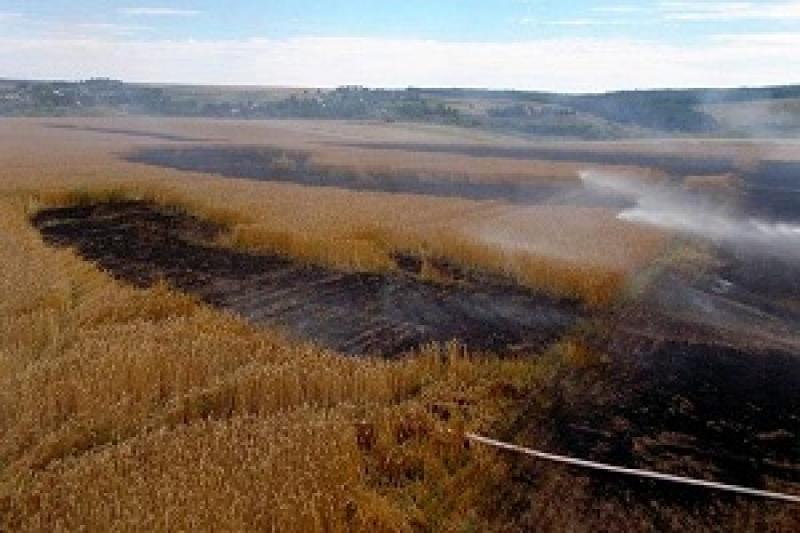 На Тернопільщині виникла пожежа на полі