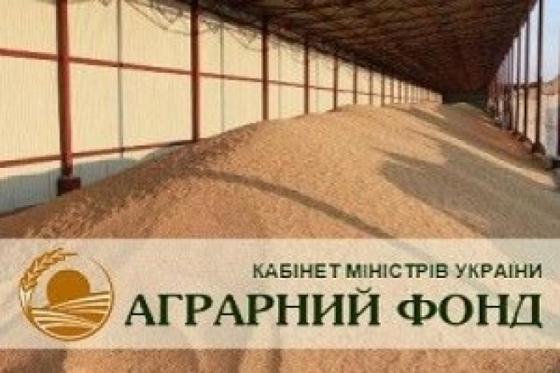 Продавати Аграрний фонд поки невигідно?