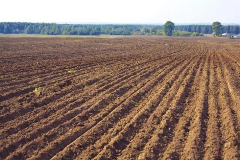 Умови оренди виявилися недійсними