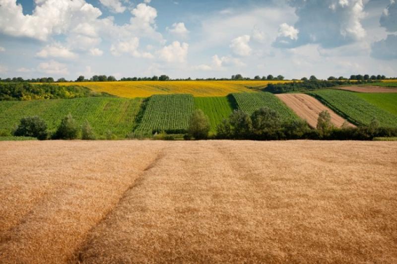 В Україні земельних паїв нарахували на 860 трлн грн 