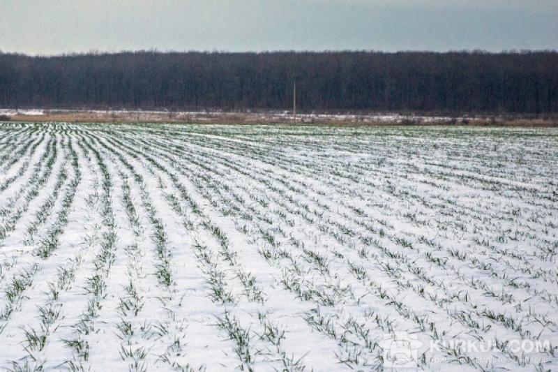 Абсолютна більшість сходів – у доброму та задовільному стані