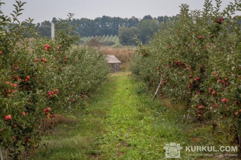 Краплинне зрошення — ноу-хау для садівництва