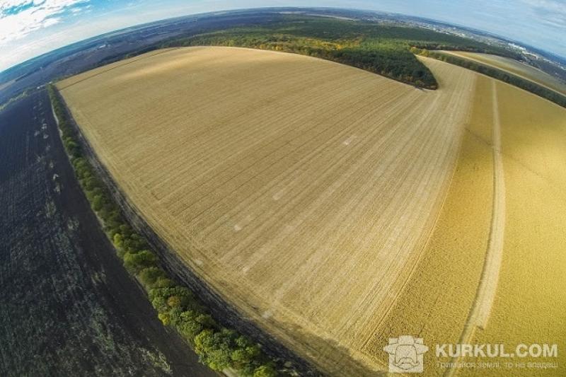 Затверджено форму заяв для отримання бюджетних дотацій —  Мінагропрод (ОПИТУВАННЯ)