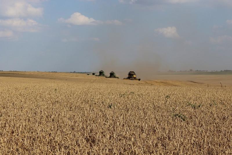 Зернозбиральна техніка в полі