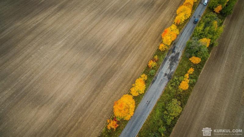 Земельні ділянки