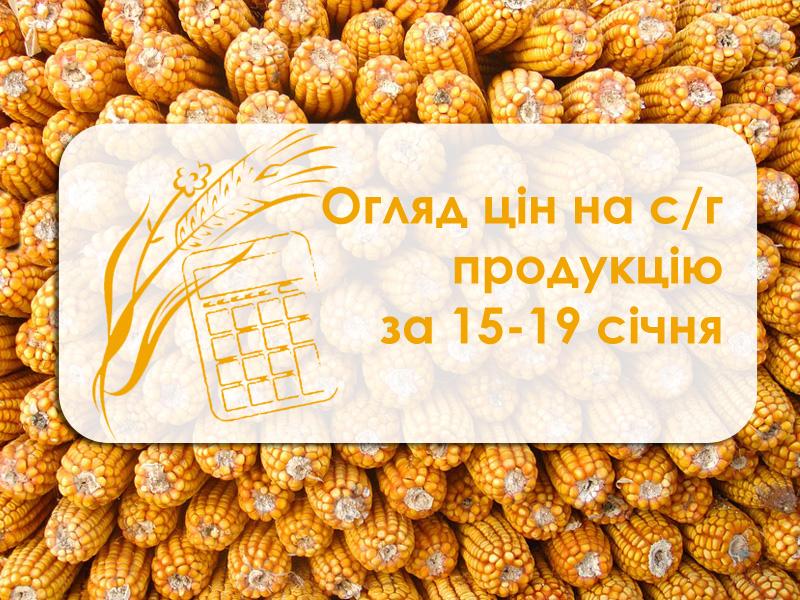 Огляд цін на с/г продукцію за 15 – 19 січня