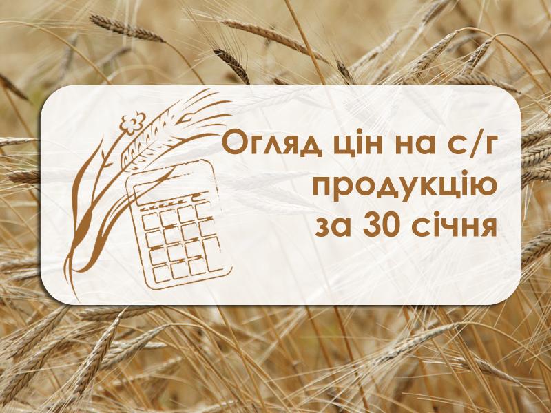 Ціни на с/г продукцію станом на 30 січня