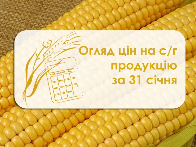 Ціни на с/г продукцію станом на 31 січня