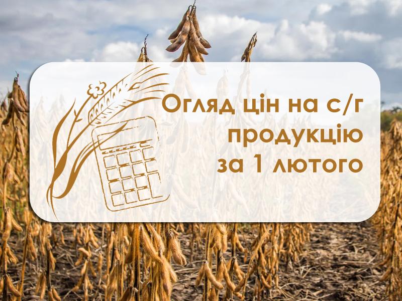 Огляд цін на с/г продукцію станом на 1 лютого 