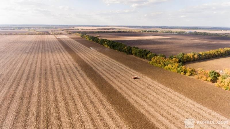 У перший день на Кіровоградщині оформили декілька розписок