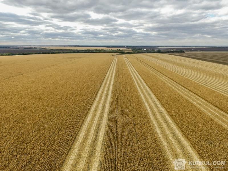 Завдяки впровадженню аграрних розписок, Дніпропетровщина позмагається за першість