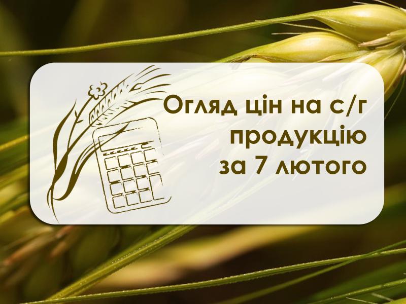 Огляд цін на с/г продукцію станом на 8 лютого