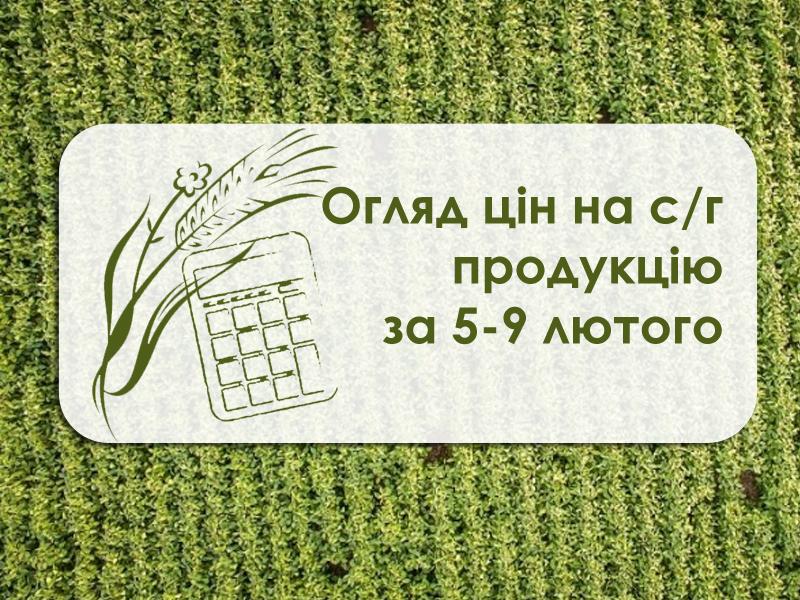 Огляд цін на с/г продукцію за період 5 – 9 лютого