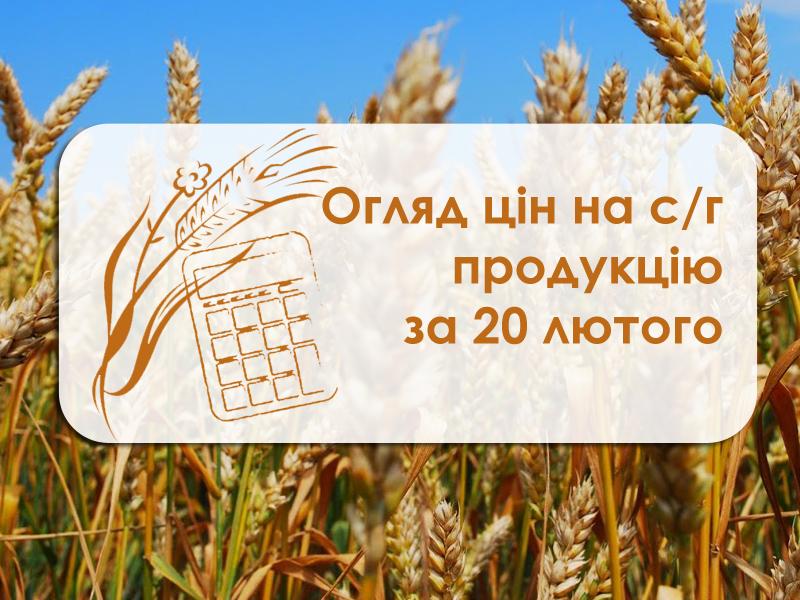 Ціни на с/г продукцію станом на 20 лютого 