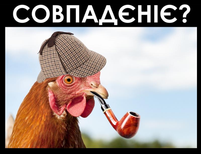 500 млн на тваринницькі комплекси - аграрії проти