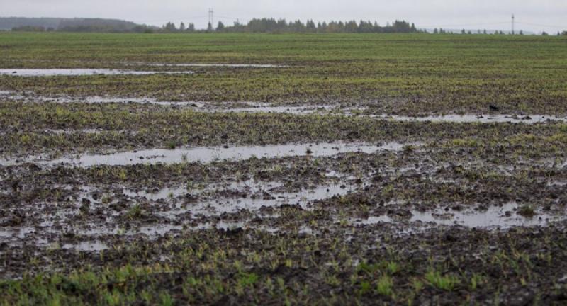 Полям на Волині загрожує тала вода