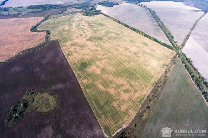 На Кіровоградщині самовільно захопили 28 га землі