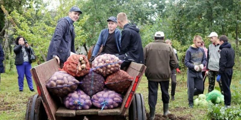 В білоруських школах створять спеціальні агрокласи